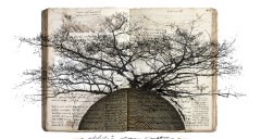Martin R. Baeyens, “Tree of Life”, CGD, 2019 Belçika/Belgium